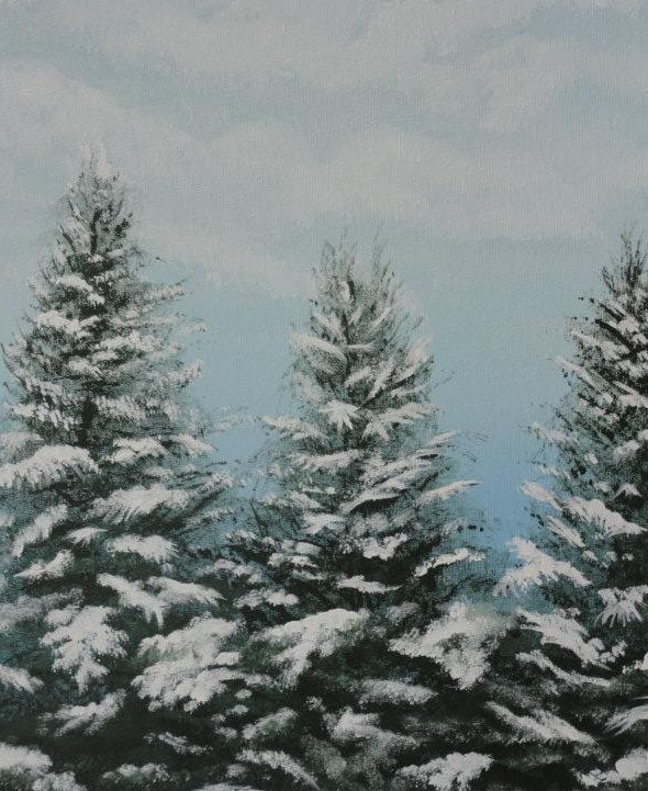 snowy evergreens
